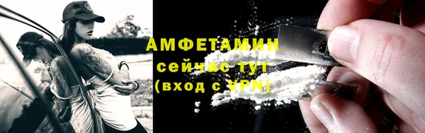 винт Абаза