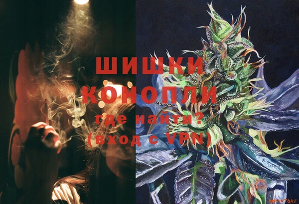 винт Абаза