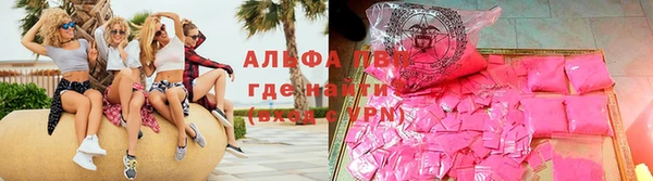 винт Абаза